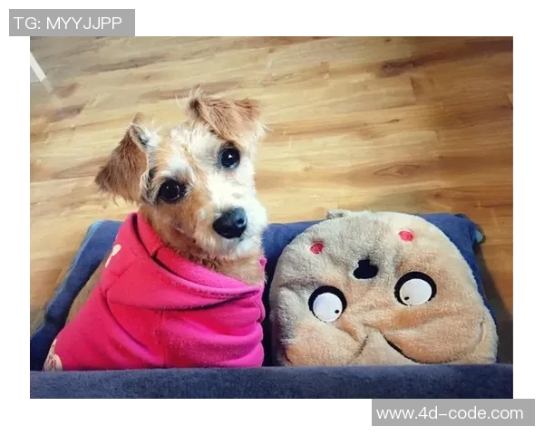 足球明星与宠物的完美搭配哪些动物最能展现他们的魅力与风采