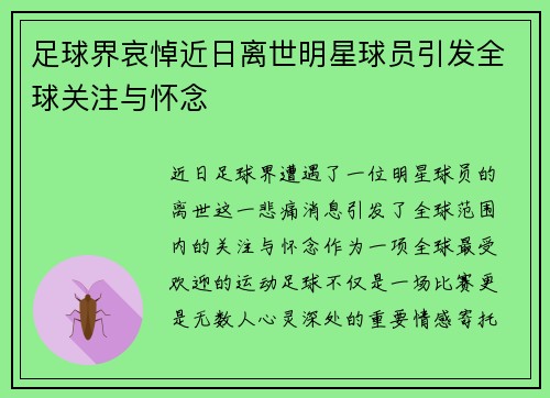 足球界哀悼近日离世明星球员引发全球关注与怀念